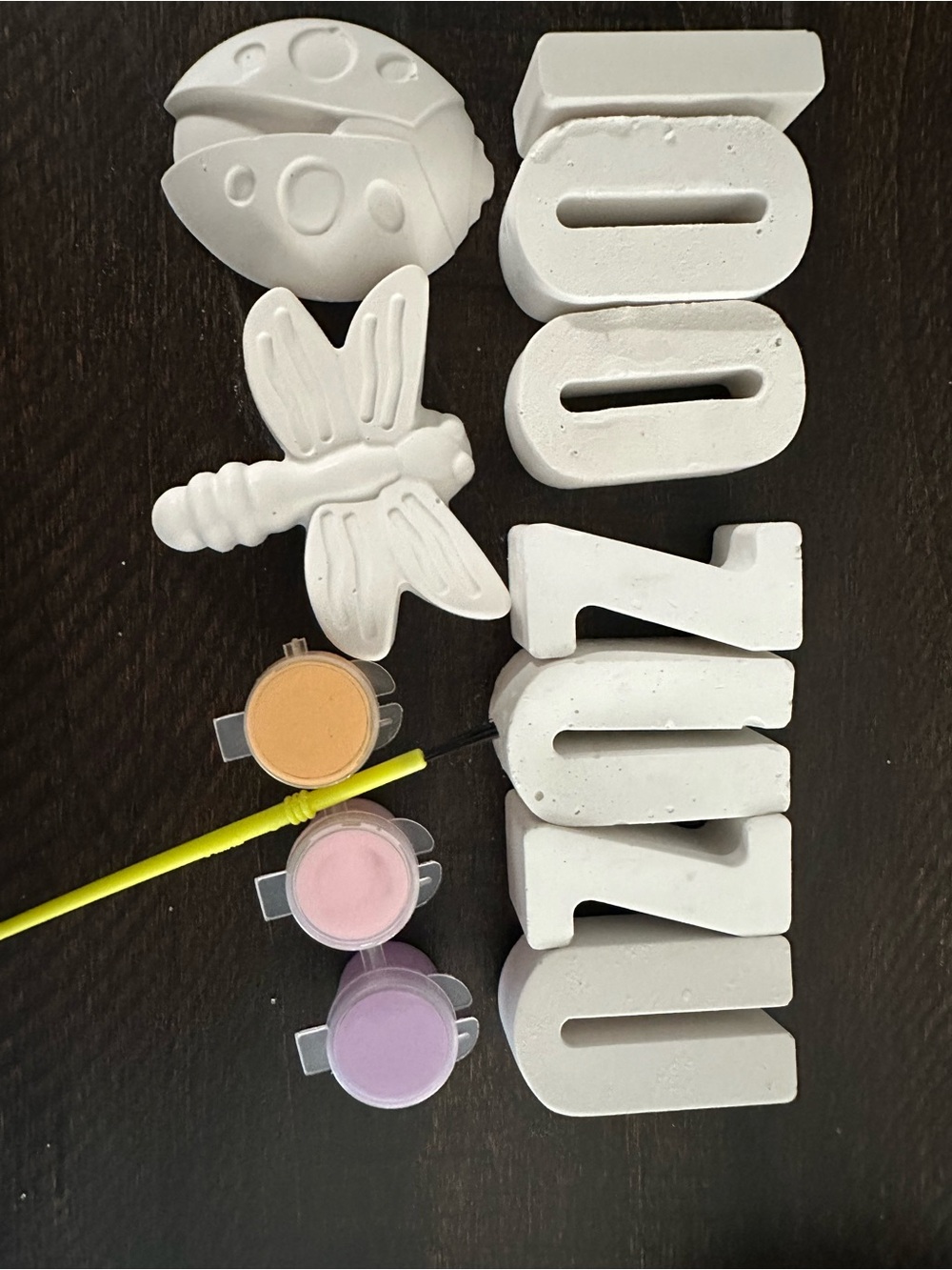 DIY Party Plaster Painting Kit - White Letters & Ladybug/Dragonfly Shapes